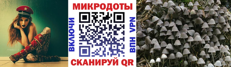 Псилоцибиновые грибы мицелий  KRAKEN как зайти  Череповец  что такое наркотик 
